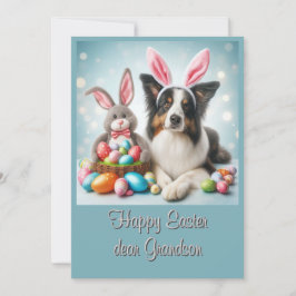 Tarjeta Festiva Conejo Border Collie Feliz Pascua Nieto 