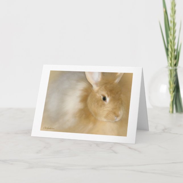 Tarjeta Festiva Conejo conejo conejo (Caramel) (Anverso)