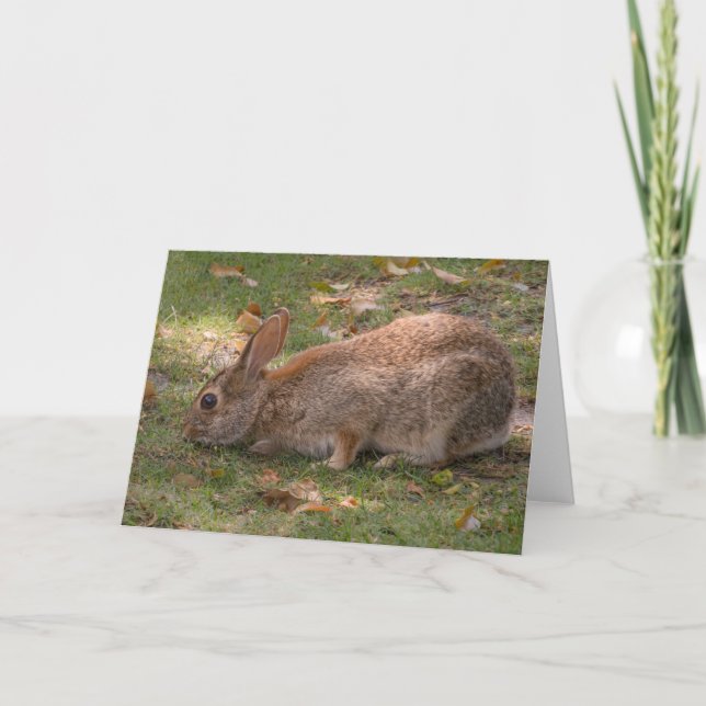 Tarjeta Festiva Conejo Cute (Anverso)