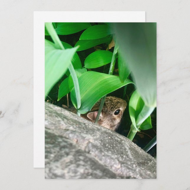 Tarjeta Festiva Conejo de bebés (Anverso / Reverso)