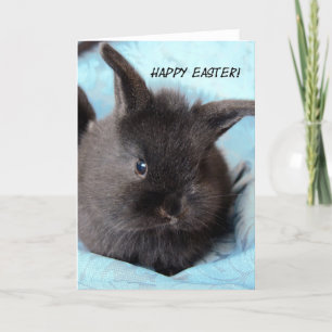 Tarjeta Festiva Conejo de Pascua