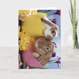 Tarjeta Festiva Conejo de Pascua con huevos