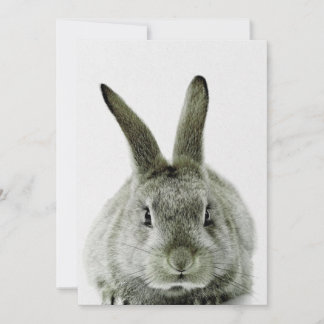 Tarjeta Festiva conejo negro y blanco | regalo para amantes de los