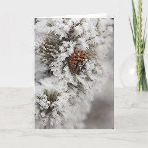 Tarjeta Festiva Cono del pino de Lodgepole en invierno en