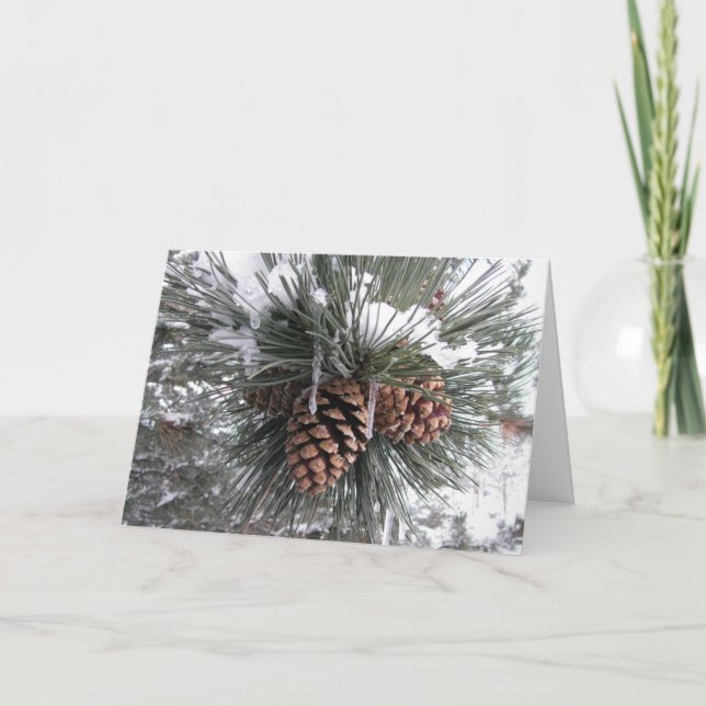 Tarjeta Festiva Conos del pino en la nieve - día de fiesta (Anverso)