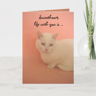TARJETA FESTIVA CONTENIDO DE PURRRR
