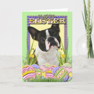 Tarjeta Festiva Cookies de Huevo de Pascua - Boston Terrier
