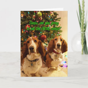 Tarjeta Festiva Cookies para perros