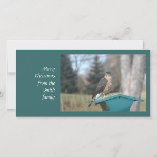 Tarjeta Festiva Coopers Hawk