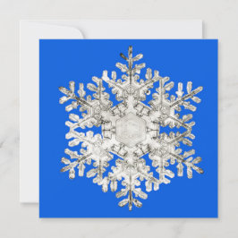 Tarjeta Festiva Copo de Nieve Azul Brillante de la Perfección de l