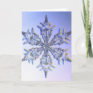 Tarjeta Festiva copos de nieve