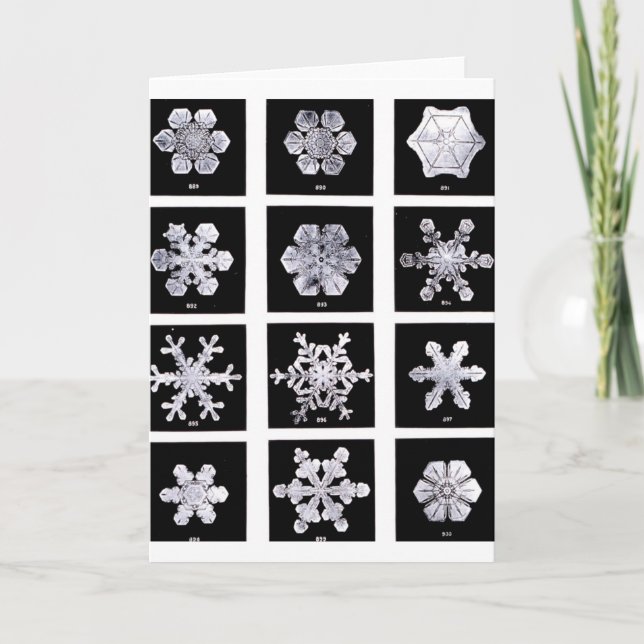 Tarjeta Festiva Copos de nieve (Anverso)