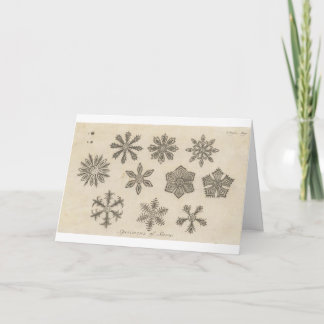 Tarjeta Festiva Copos de nieve - 1791