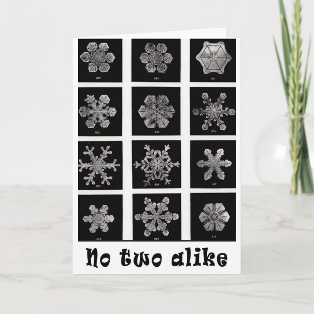 Tarjeta Festiva Copos de nieve de Wilson Bentley, 1902 (Anverso)