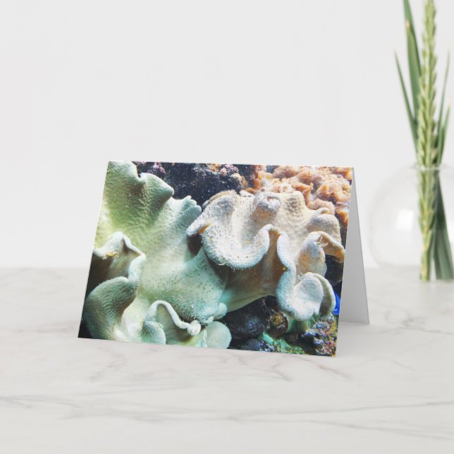 Tarjeta Festiva Coral de cuero toadstoide (Anverso)