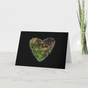Tarjeta Festiva Corazón Verde Romance Valentine Love