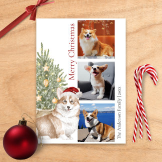 Tarjeta Festiva Corgi Christmas Tree Mascota Dog Photo