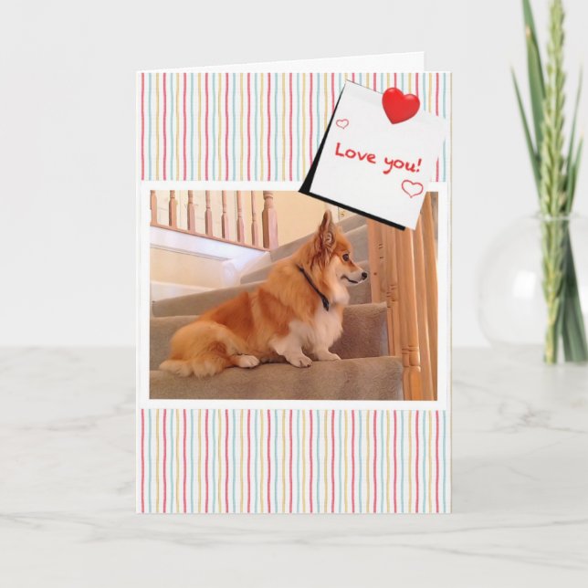 Tarjeta Festiva Corgi dulce fluffy en la escalera Valentine (Anverso)