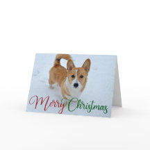Corgi navideño dulce con cola en foto de nieve