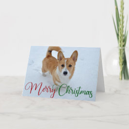 Tarjeta Festiva Corgi navideño dulce con cola en foto de nieve