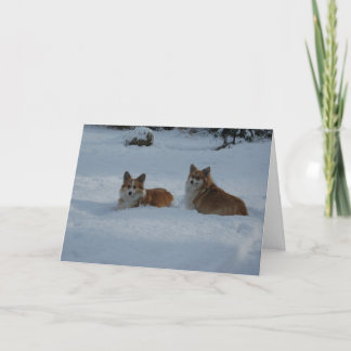 Tarjeta Festiva Corgis jugando en la nieve