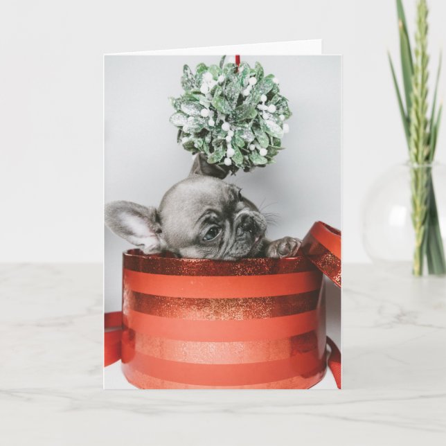 Tarjeta Festiva Corta perrito gris en una caja roja (Anverso)