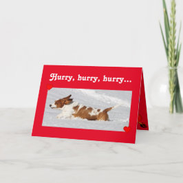 Tarjeta Festiva Corto Valentine con Funny Basset Hound