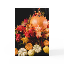 Cosecha de otoño - Vida de calabaza y calabaza