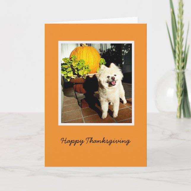 Tarjeta Festiva Cosmo el Día de Acción de Gracias de Cachorro (Anverso)
