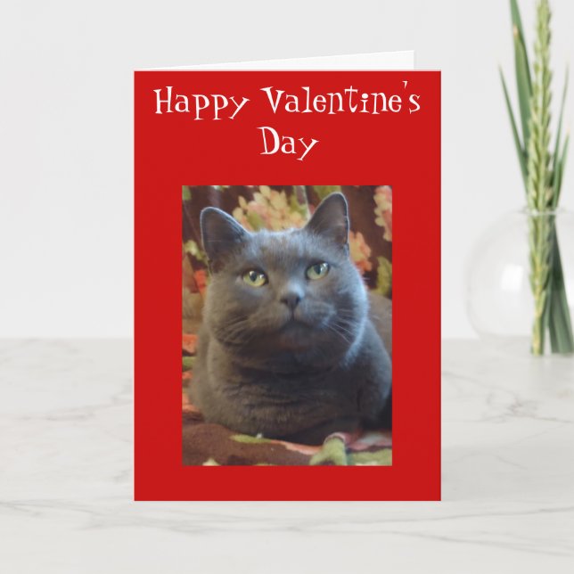 Tarjeta Festiva Cosquillas (Anverso)