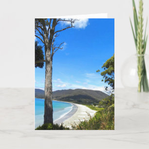 Tarjeta Festiva Costa de Tasmania