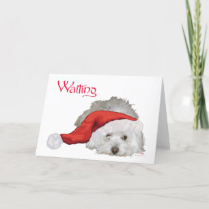 Tarjeta Festiva Coton de Tulear - Esperando
