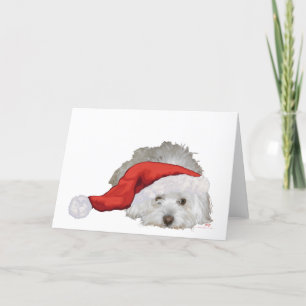 Tarjeta Festiva Coton de Tulear - Esperando