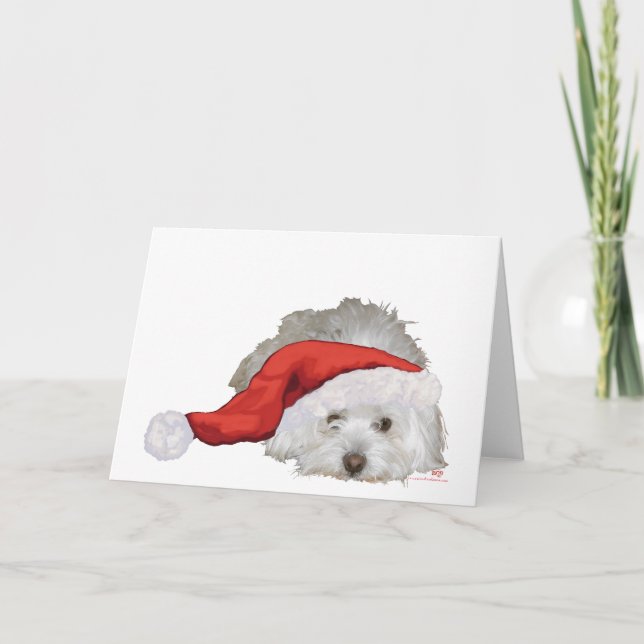 Tarjeta Festiva Coton de Tulear - Esperando (Anverso)