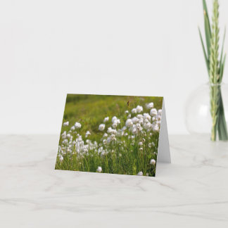 Tarjeta Festiva Cotton Grass Meadow - 4" x 5.6" Notecard