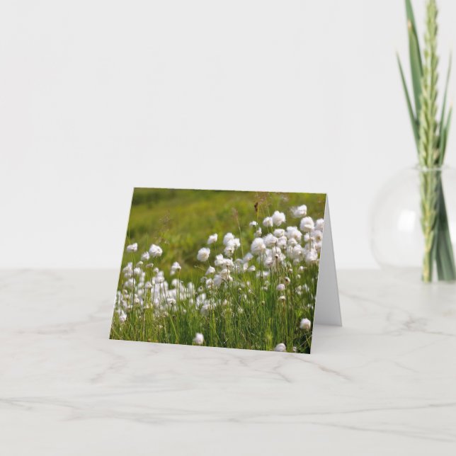 Tarjeta Festiva Cotton Grass Meadow - 4" x 5.6" Notecard (Anverso)