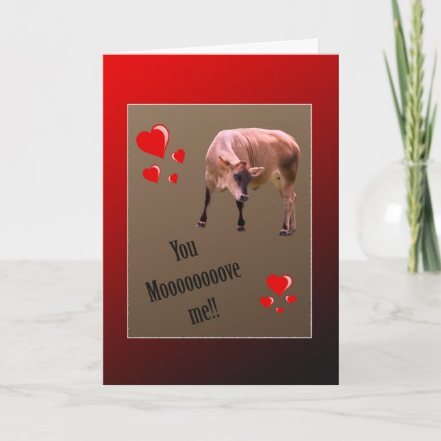 Tarjeta Festiva Cow Valentine Greeting (Anverso)