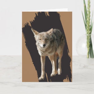 Tarjeta Festiva Coyote Solitario