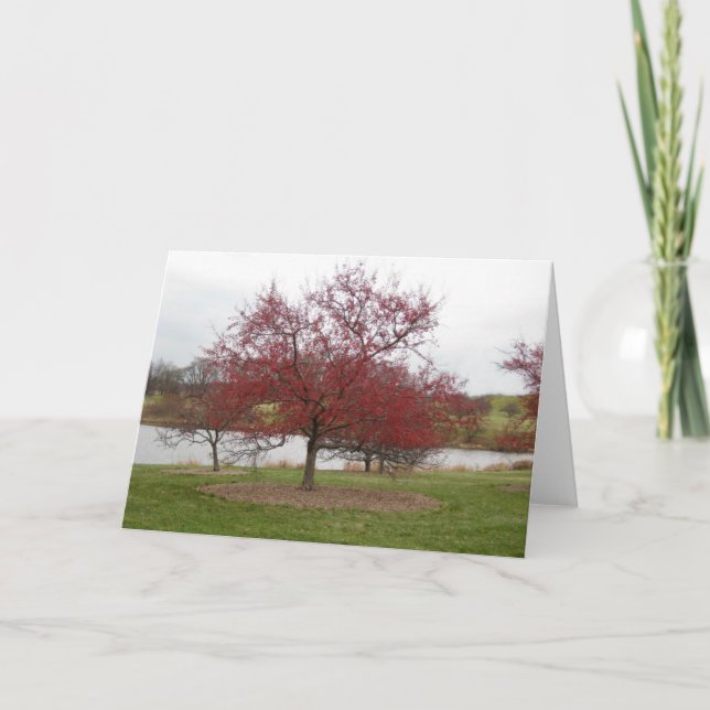 Tarjeta Festiva Crabapple (Anverso)