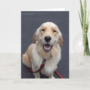 Tarjeta Festiva ¡Crea tus propias expresiones! ¡Herramientas fácil