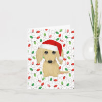 Cream Longhaded Dachshund Santa Dog Navidades