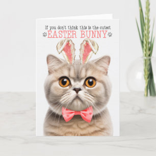 Tarjeta Festiva Cream Scottish Fold Cutest Easter Bunny Kitty Puns