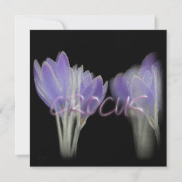 TARJETA FESTIVA CROCUS FLOWER