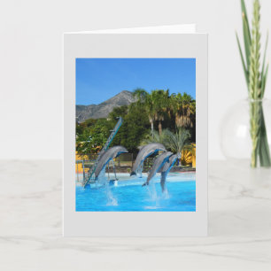 Tarjeta Festiva Cuatro delfines saltantes