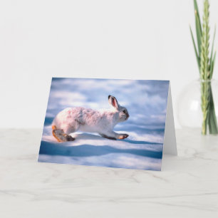 Tarjeta Festiva Cubierta blanca