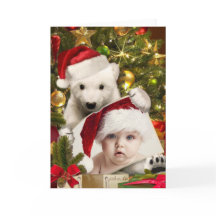 Cubo de oso polar sujetando tu foto a Navidades