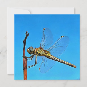Tarjeta Festiva Cuelga Ahí La Dragonfly Artística