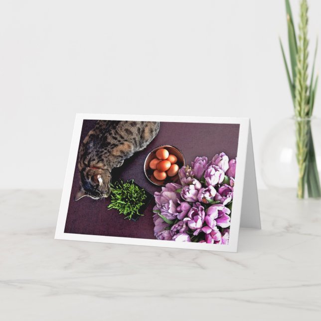 Tarjeta Festiva Cuenco de huevos. Foto 5 (Anverso)