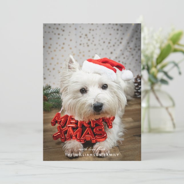 Tarjeta Festiva Cuerdo Perro Cuppy Merry Christmas Card (Anverso de pie)