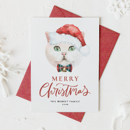 Tarjeta Festiva Cuidados Navidades británicos de gatos cortos